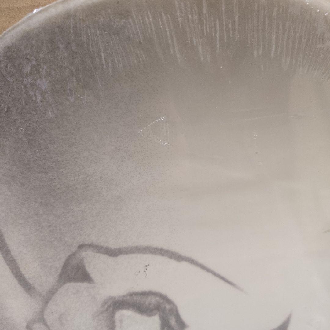 Worldindustries SEANJOHNSON 151cmスノーボード