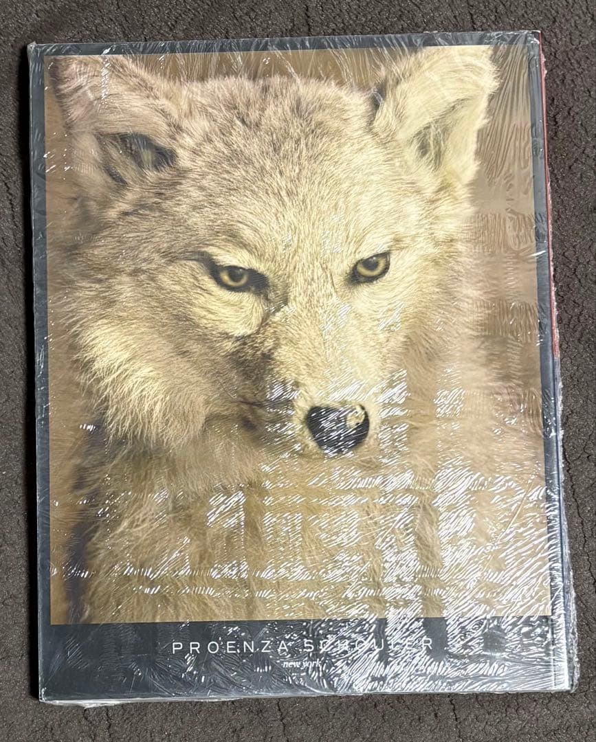 アート・デザイン・音楽 A Magazine curated by Proenza Schouler