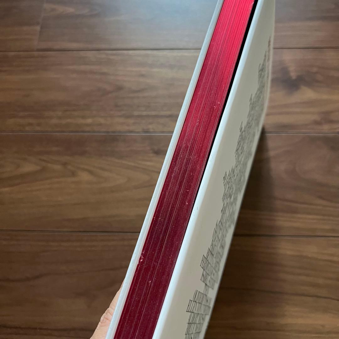 【送料込み・絶版本 】MONICA BELLUCCI 写真集 モニカ・ベルッチ