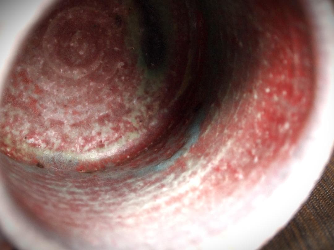 人気作家★高橋燎★信楽【窯変】焼き締めマグカップA★トレインキルン薪窯