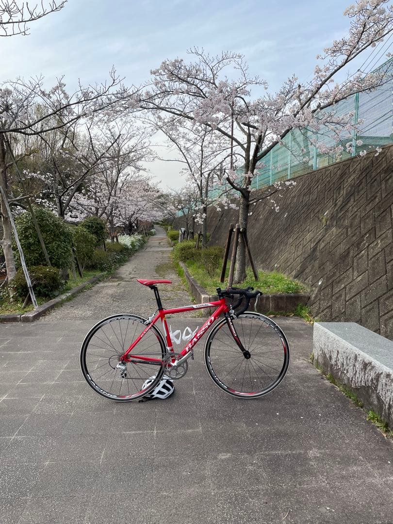 BASSO CORAL ロードバイクフレーム
