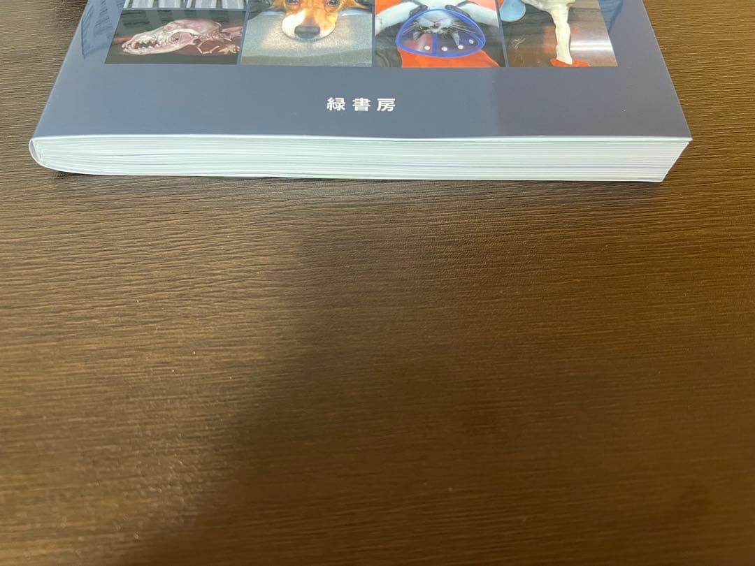 犬と猫のX線撮影ガイド