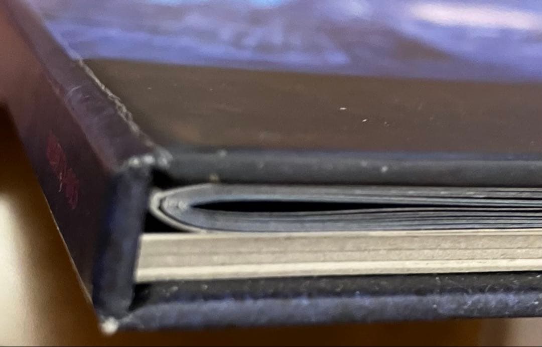 MALICE MIZER 薔薇の聖堂 CD アルバム 初回限定盤