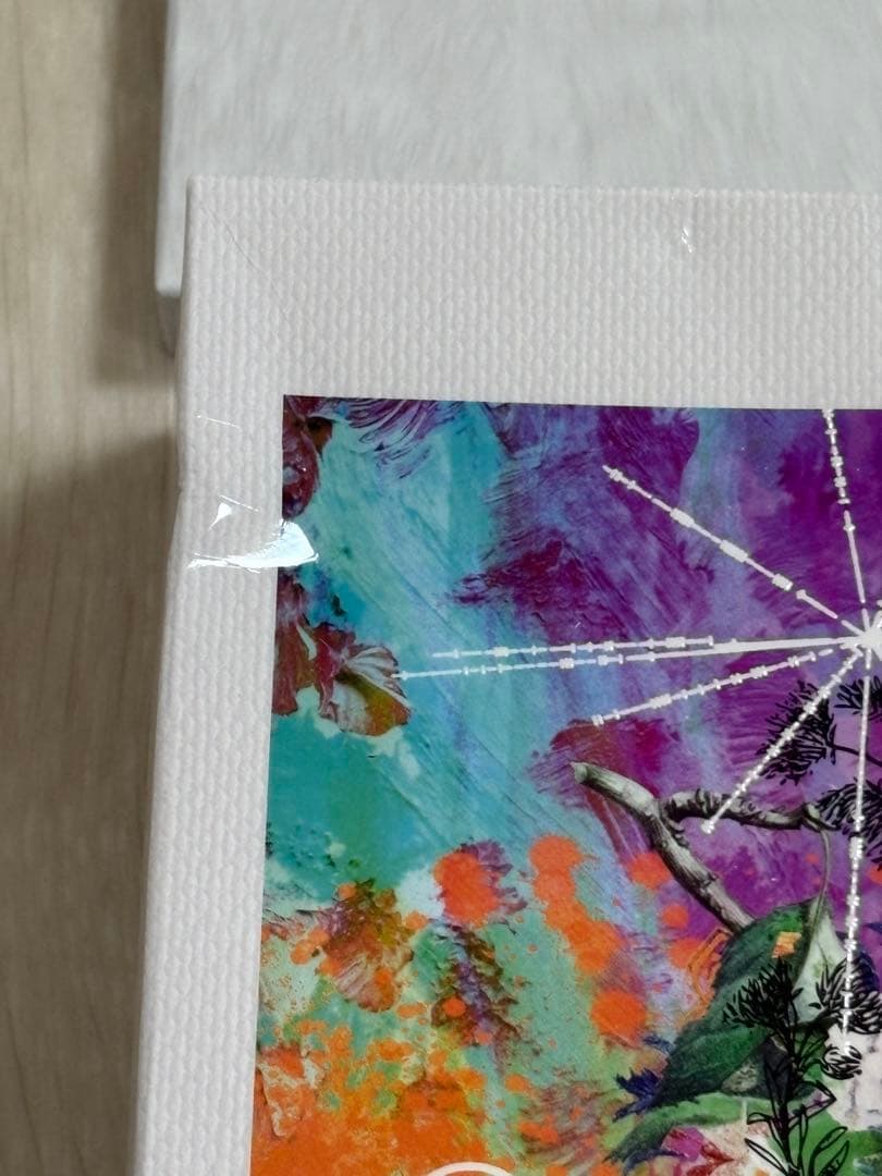 Mrs. GREEN APPLE ANTENNA ミセス 完全生産限定BOX