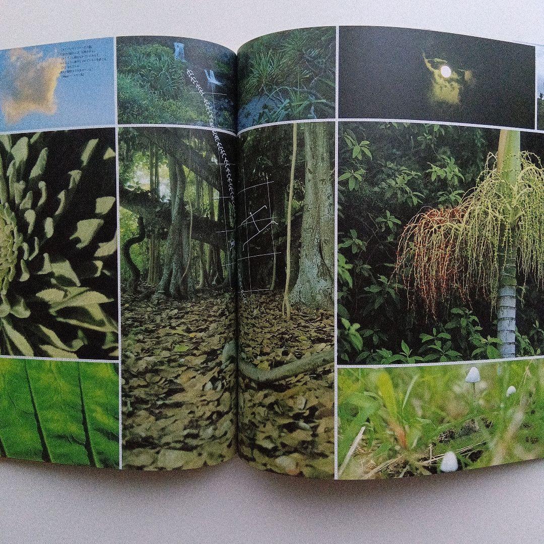 マジカル ミステリー ハワイのガイドブック＆写真集。