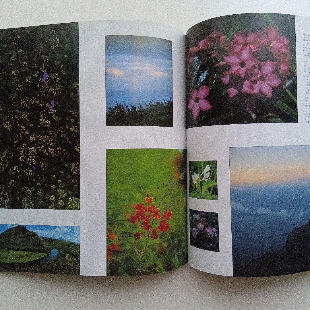 マジカル ミステリー ハワイのガイドブック＆写真集。