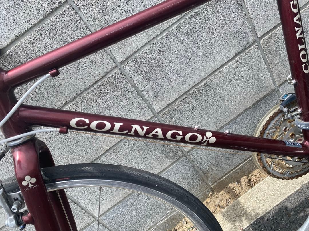 COLNAGO 「コルナゴ」 BISCOTTI 2017年モデル クロスバイク