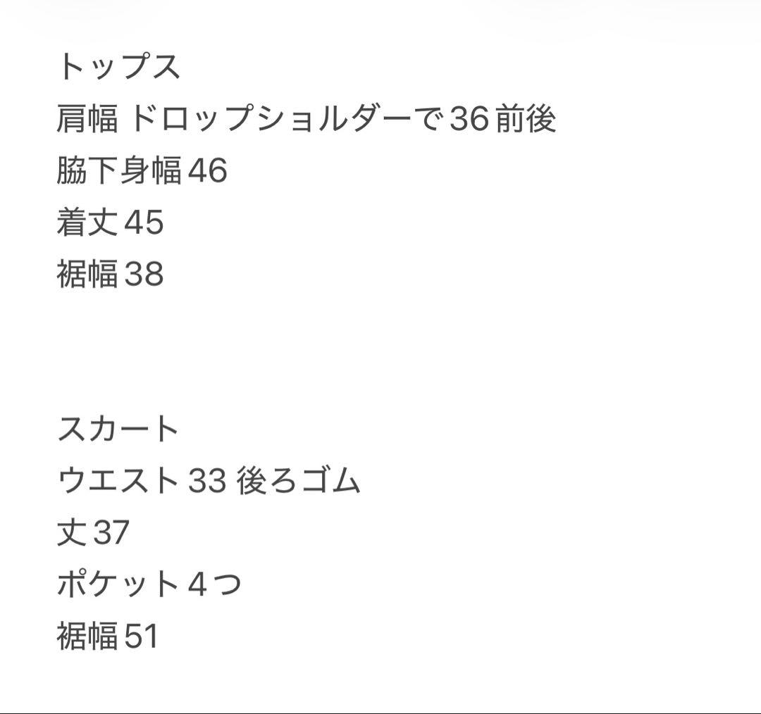 長袖　ハイネック　ショート丈　総ロゴ　スカート　セットアップ　サイズS 春夏
