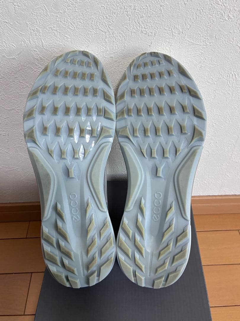 ECCO BIOM C4 エコーバイオム C4　ゴルフシューズ　42