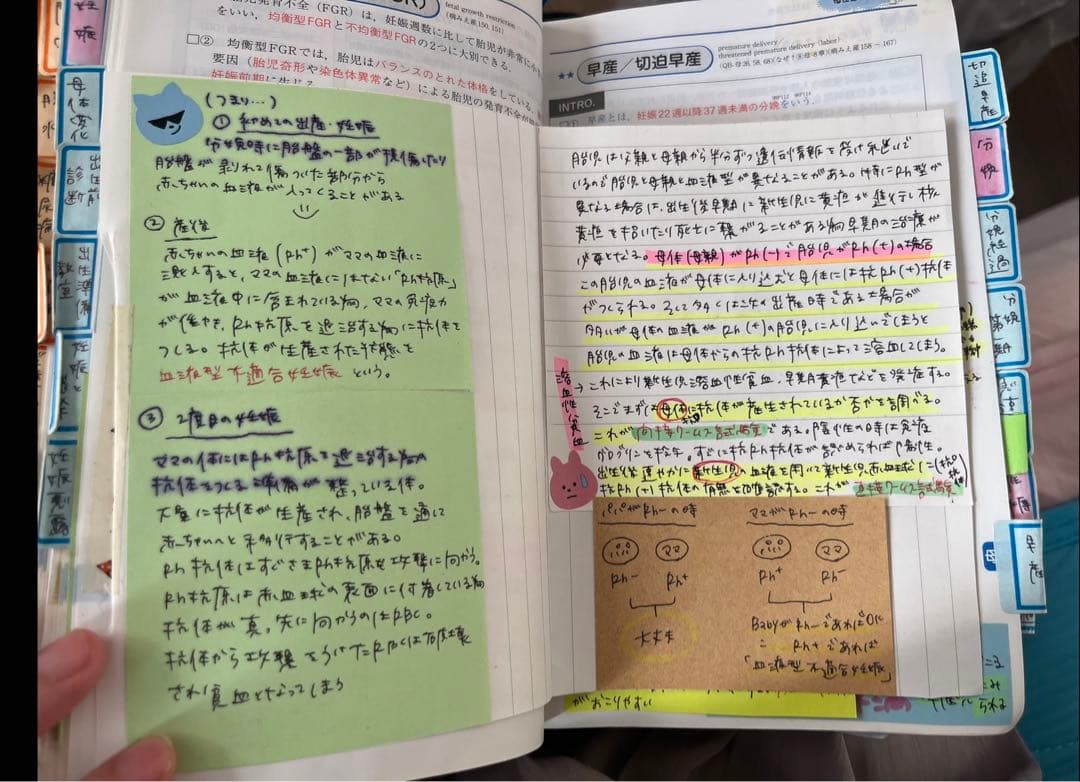 看護師　看護　参考書　レビューブック　国家試験　看護師国家試験