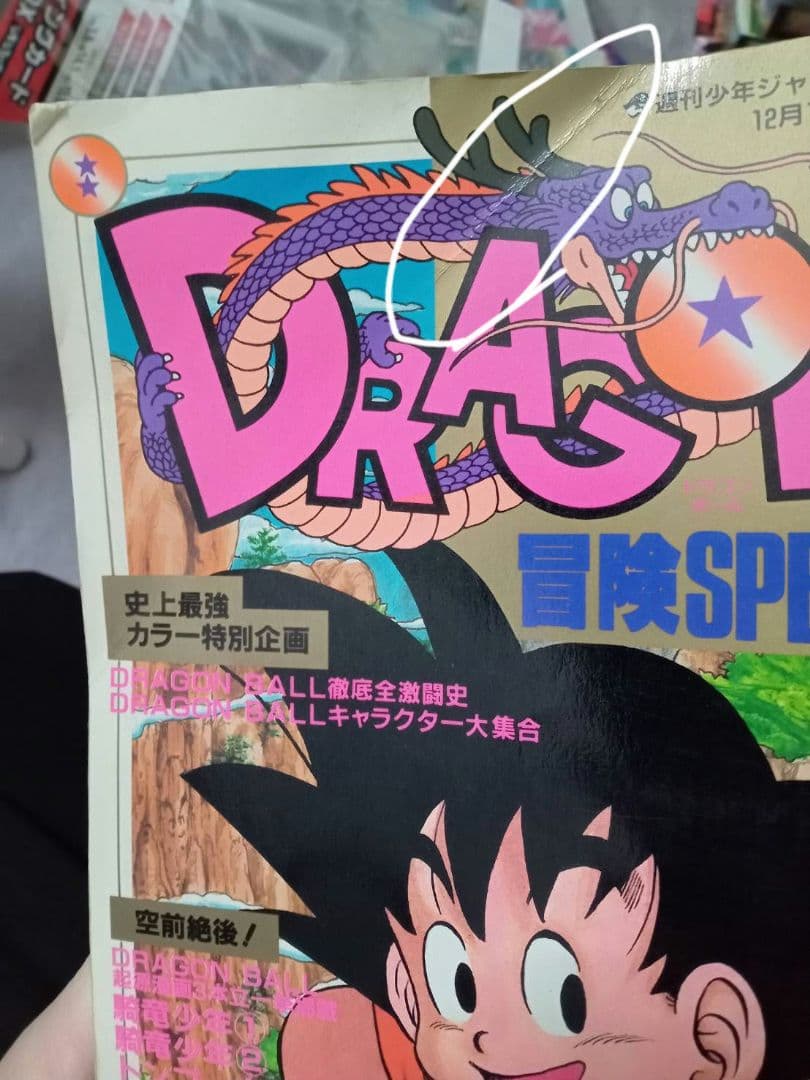 DRAGON BALL 特別号