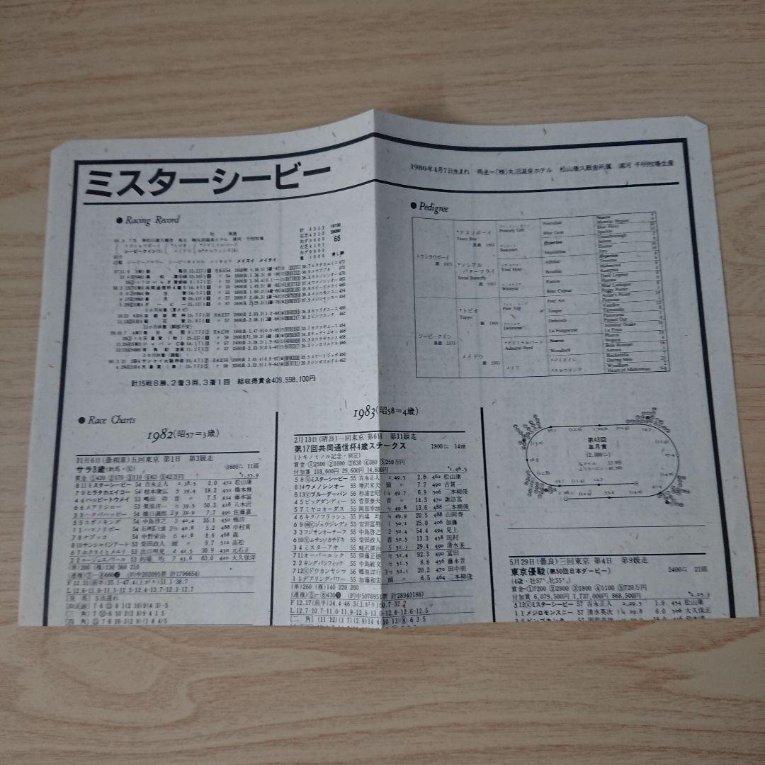 ☆希少品   ミスターシービー写真集