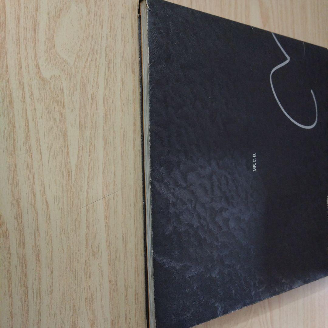 ☆希少品   ミスターシービー写真集