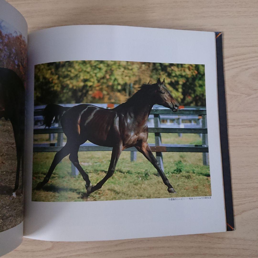 ☆希少品   ミスターシービー写真集