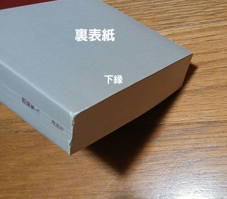【帯付き初版】少女は踊る暗い腹の中踊る　岡崎隼人　デビュー作
