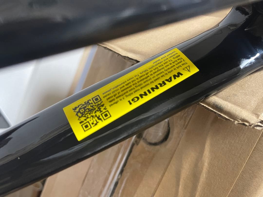 ジオスフェニーチェフレームセット OPカーボンフォーク仕様　サイズ50