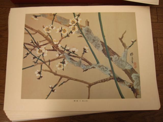 瑞月草花画譜　池田瑞月　限定700部