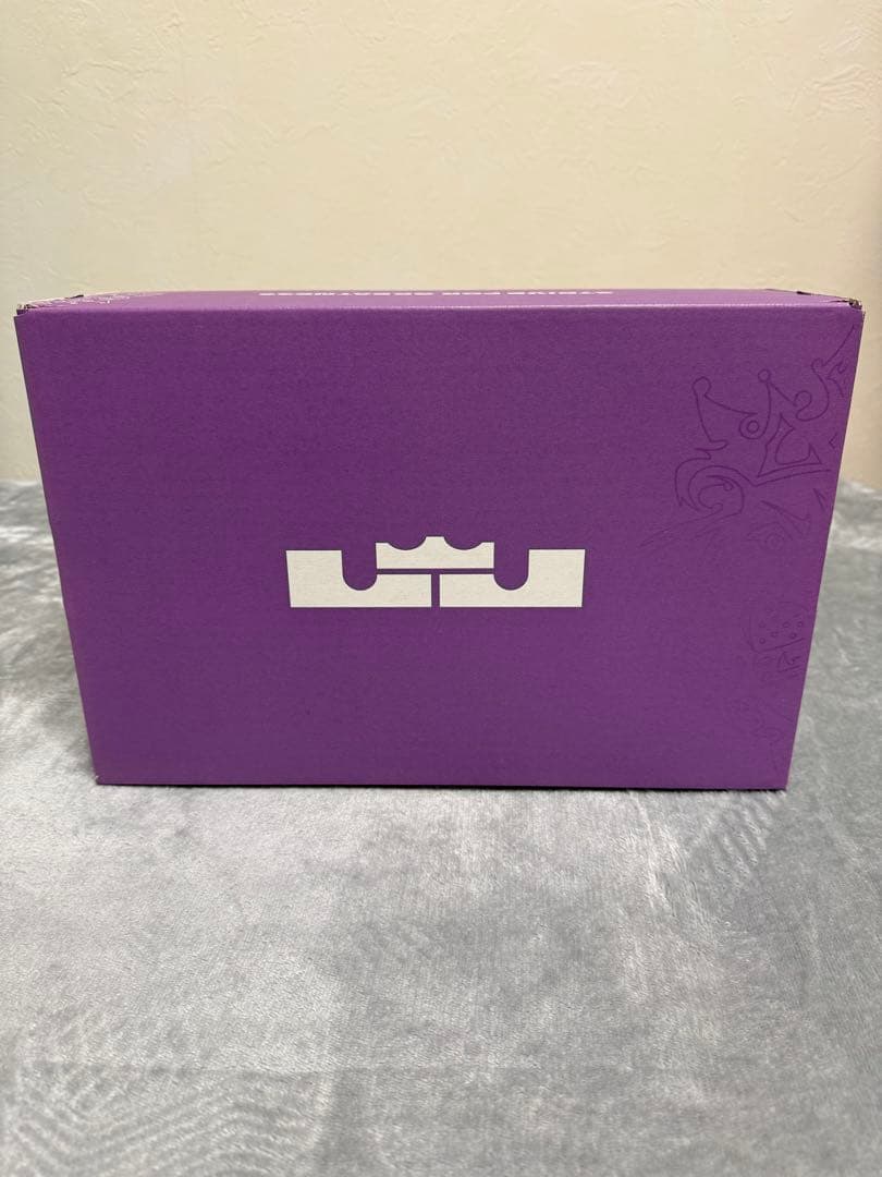 ナイキ　レブロン　ウィットネスⅧ 27cm