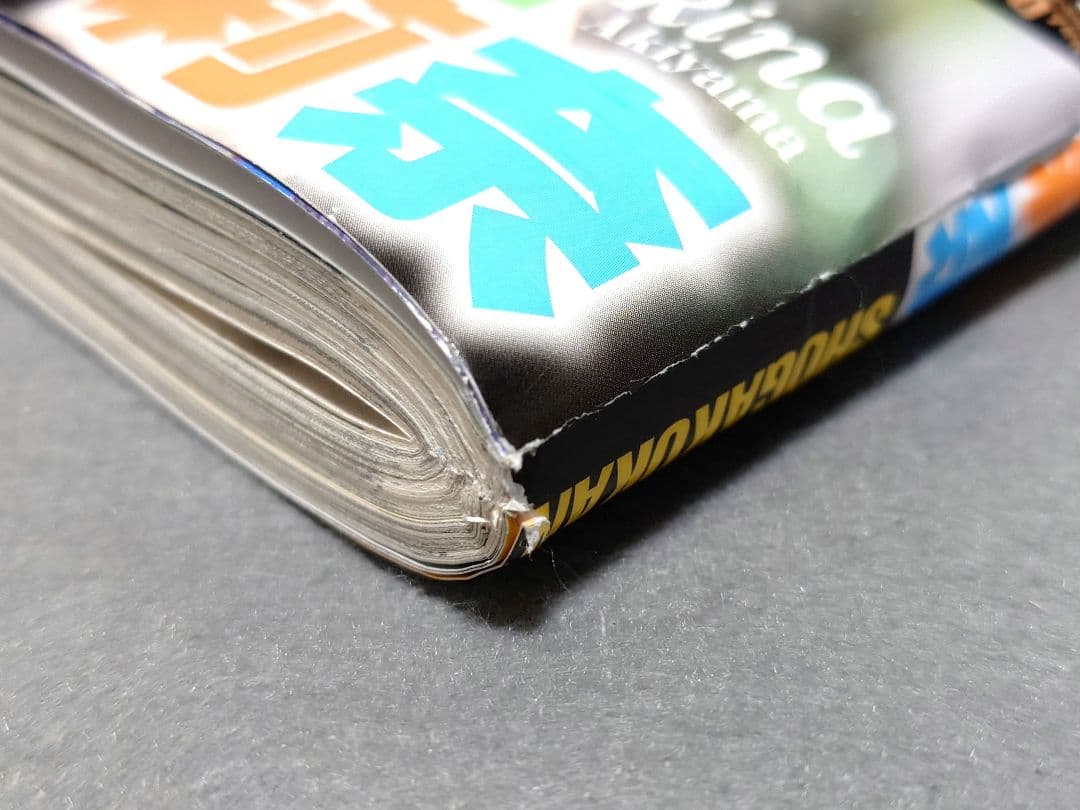 週刊ヤングサンデー2007年15号『おやすみプンプン』新連載/浅野いにお