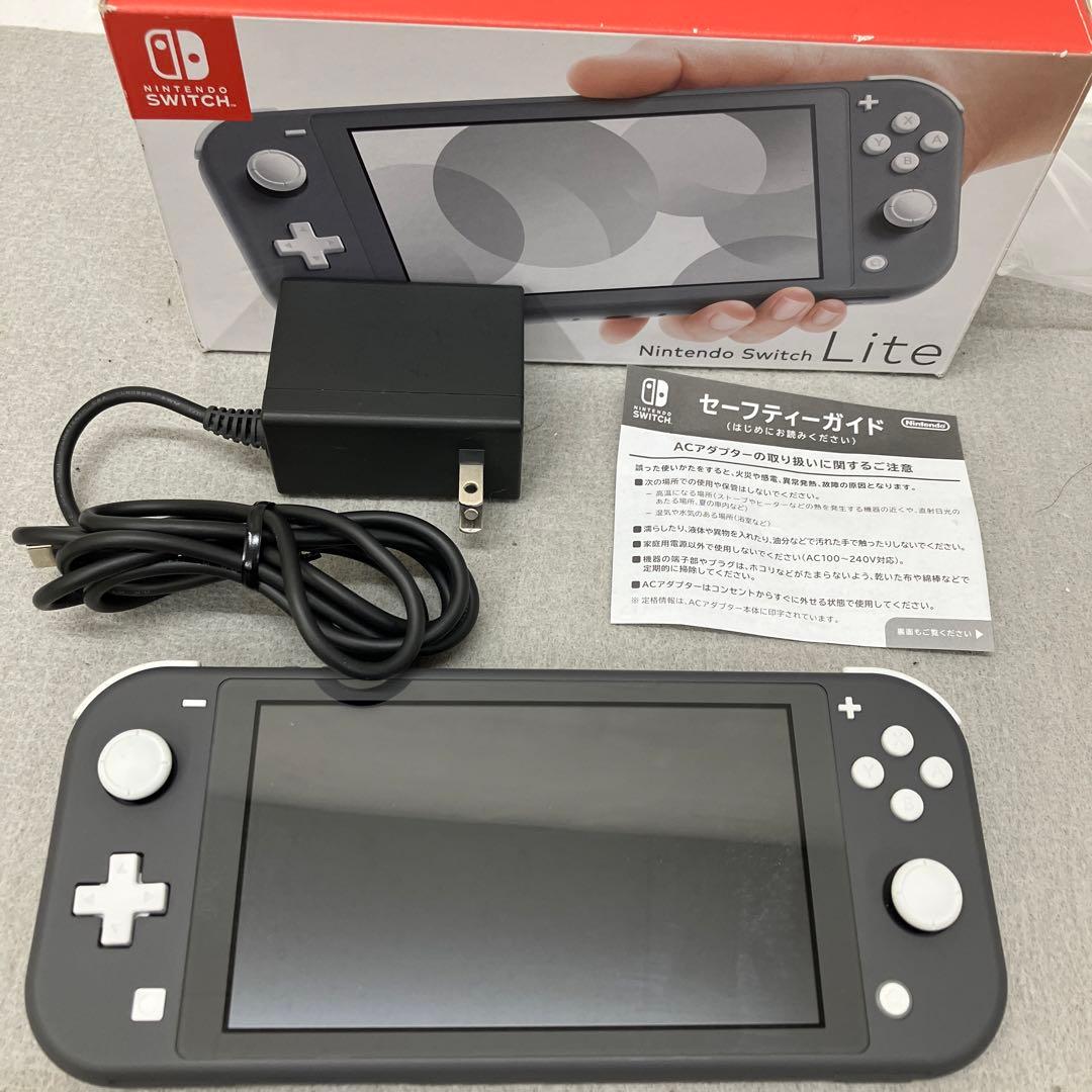 GE9119Nintendo Switch Lite グレー