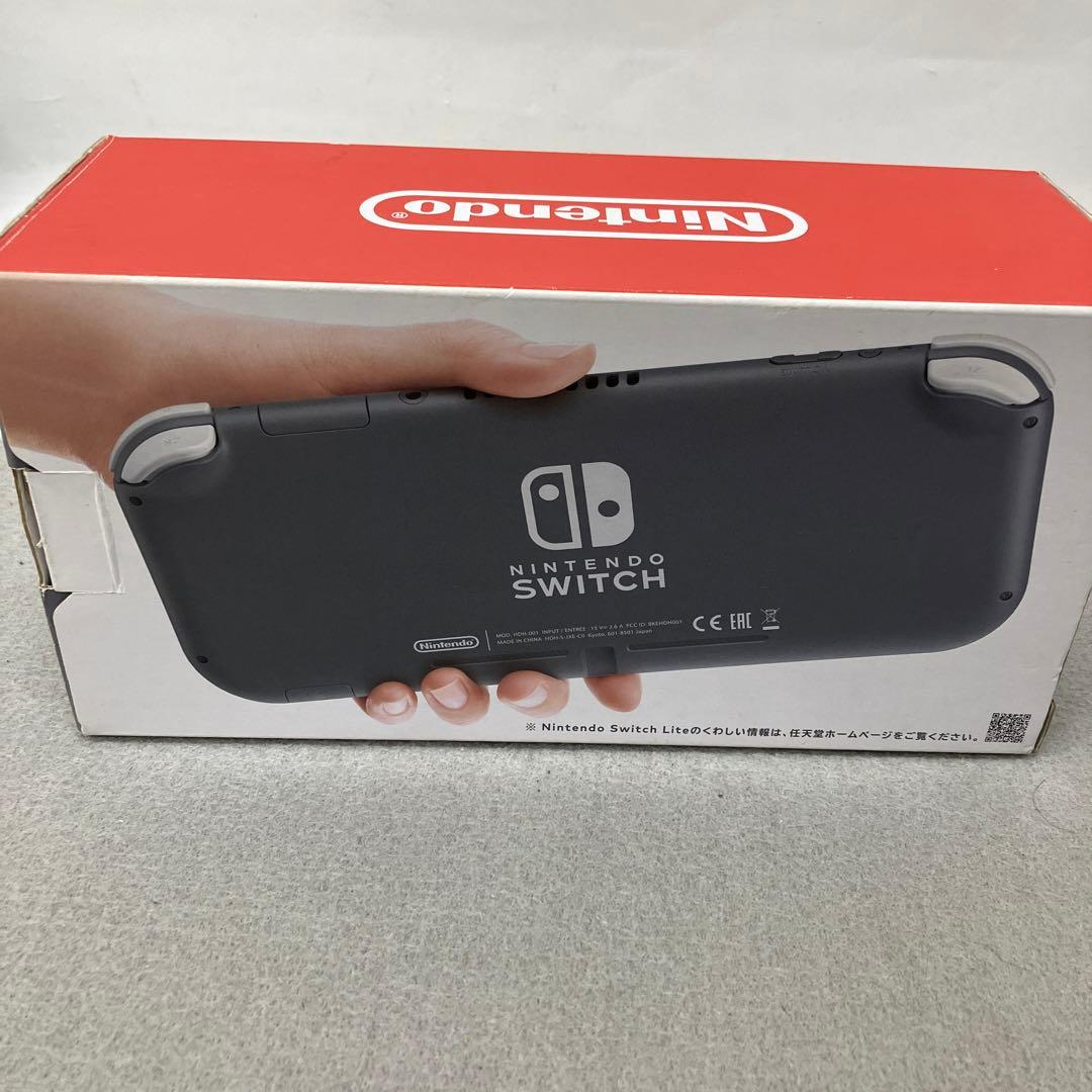 GE9119Nintendo Switch Lite グレー