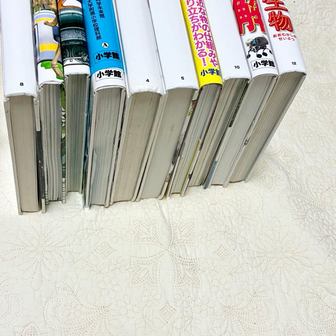【即日発送】美品 ネオ図鑑 まとめ売り おすすめ 幼児 小学生 10冊セット