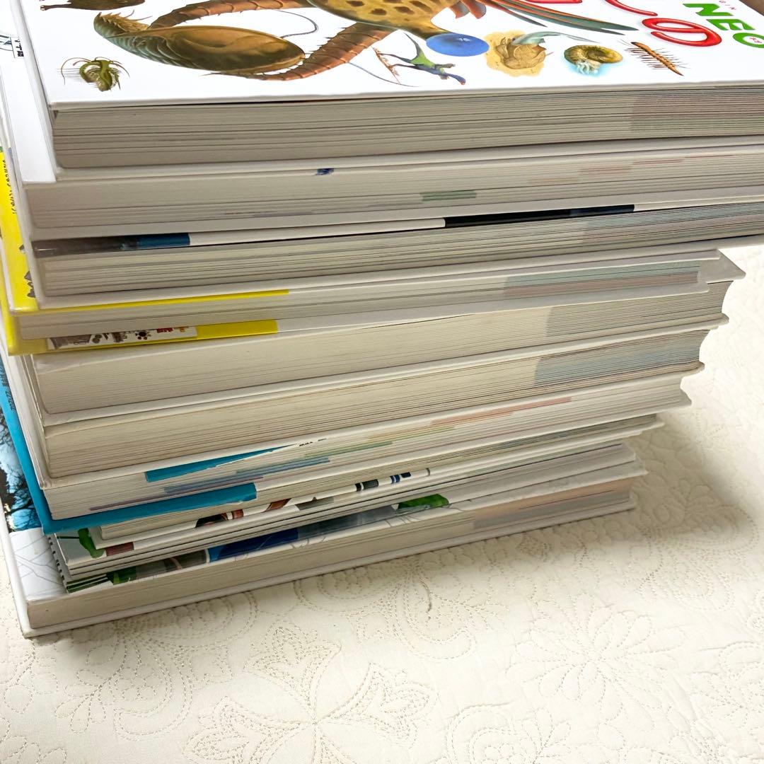 【即日発送】美品 ネオ図鑑 まとめ売り おすすめ 幼児 小学生 10冊セット