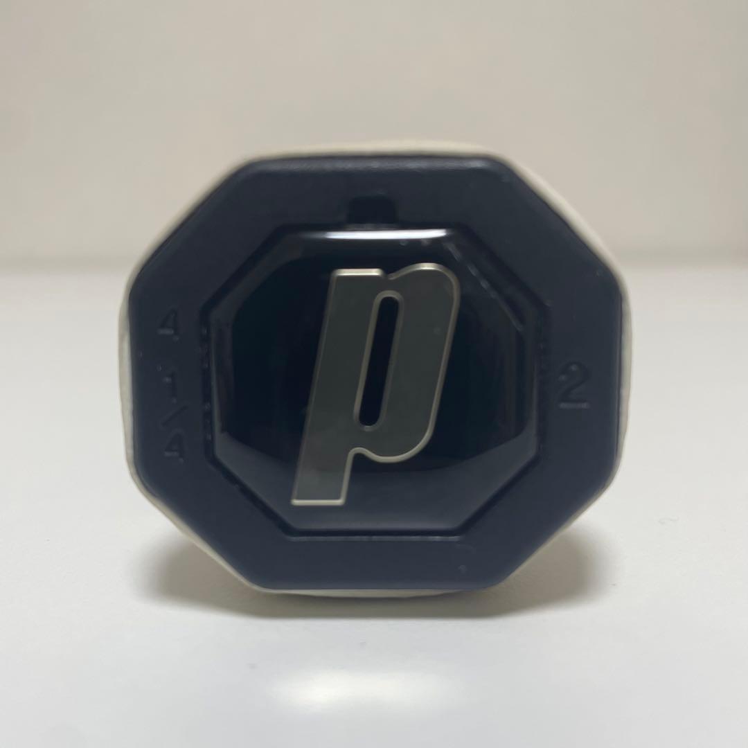 プリンス　Tour 95