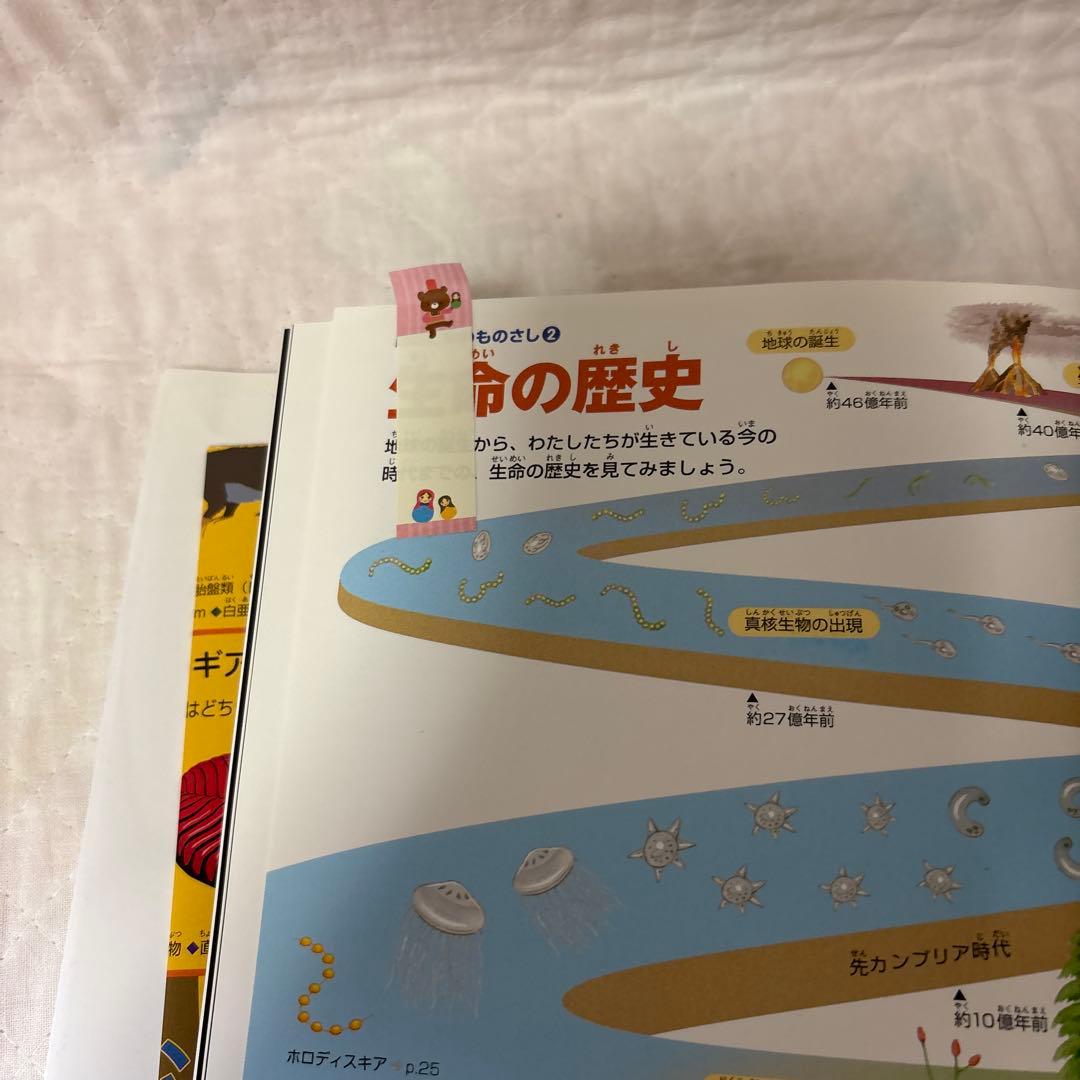 小学校の図鑑 NEO 動物