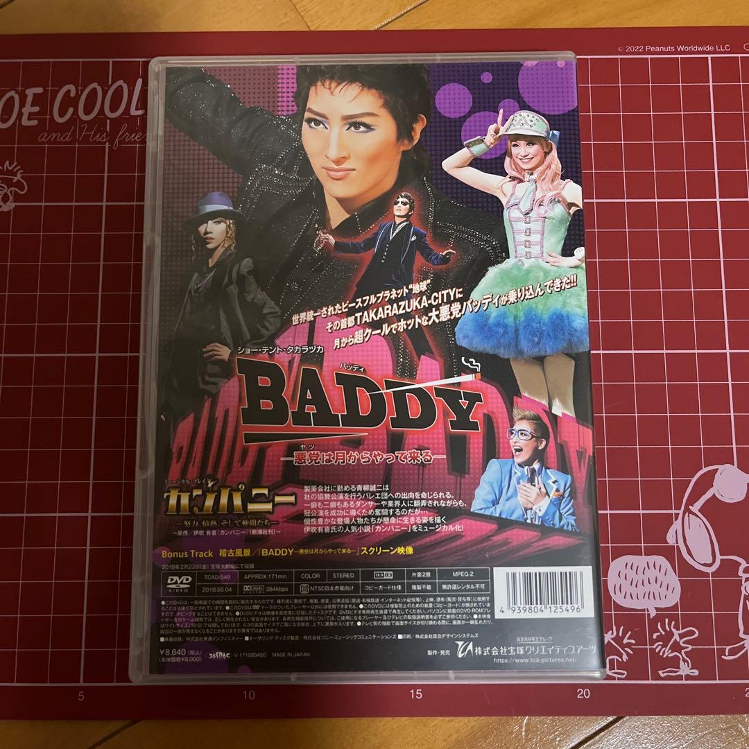 月組 宝塚大劇場公演 ミュージカル・プレイ カンパニー-努力(レッスン),情熱…