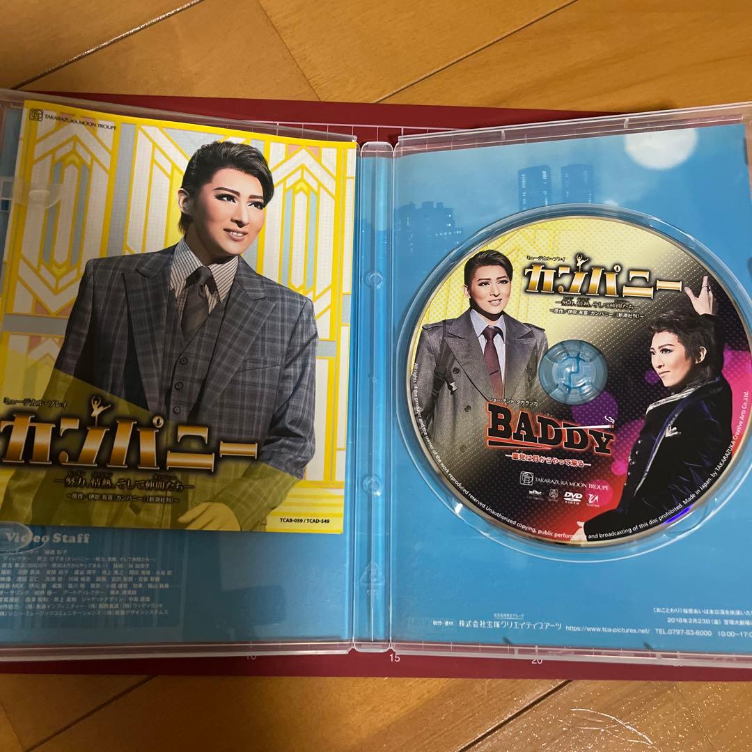 月組 宝塚大劇場公演 ミュージカル・プレイ カンパニー-努力(レッスン),情熱…