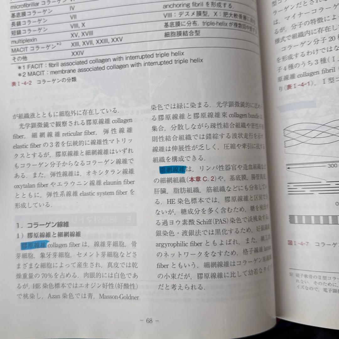 【美品】組織学・口腔組織学 第4版