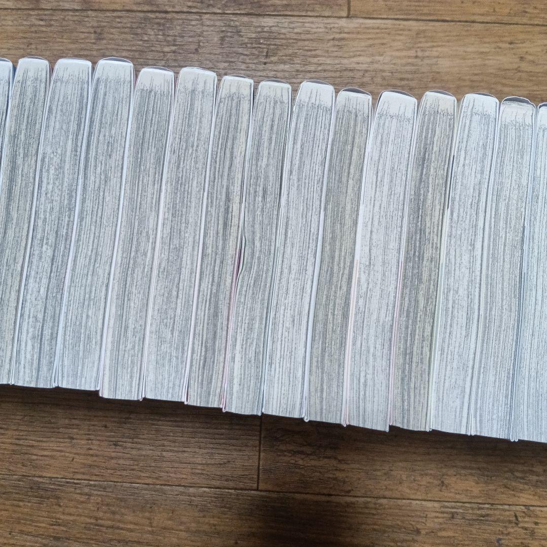 スティールボールラン　ジョジョリオン全巻セット+岸辺露伴3冊　計54冊