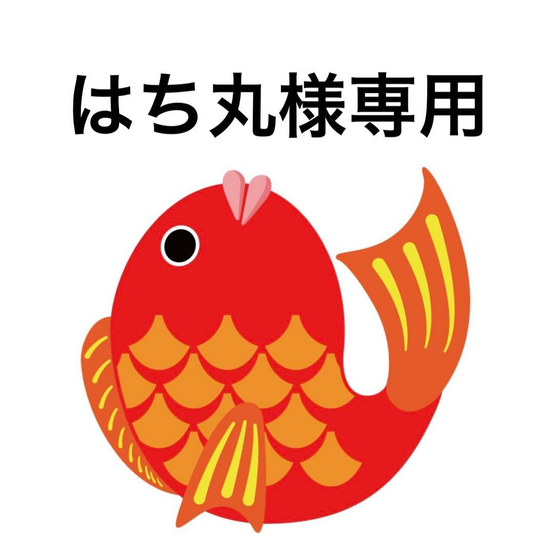 はち丸　タイラバ　タングステン　目あり無垢