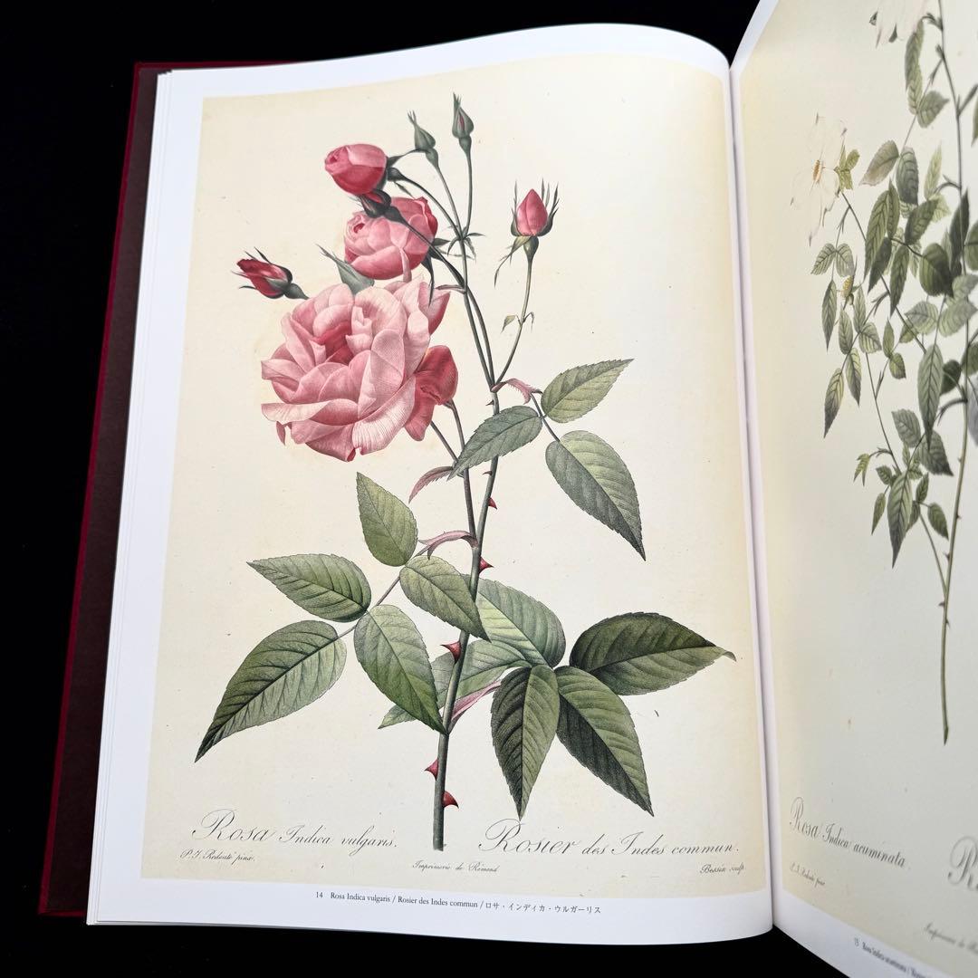 ピエール=ジョゼフ・ルドゥーテ 画集「バラ図譜 Les Roses 」豪華愛蔵版