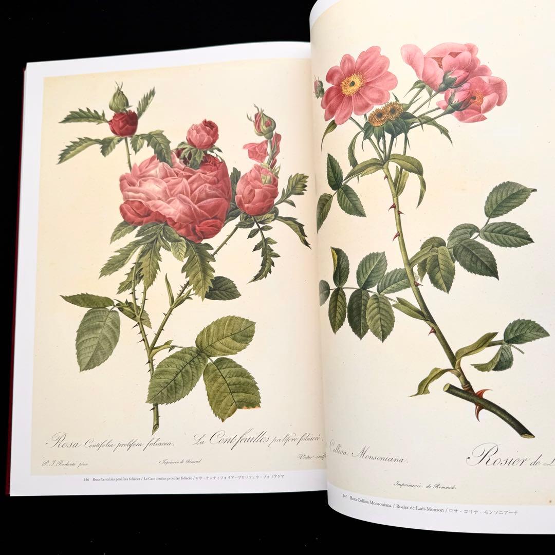 ピエール=ジョゼフ・ルドゥーテ 画集「バラ図譜 Les Roses 」豪華愛蔵版