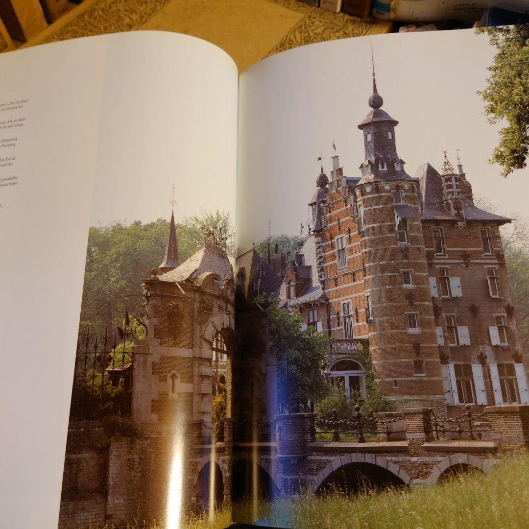 ★洋書 英語・ドイツ語・フランス語 / フランドル地域 / 歴史・建築・解説