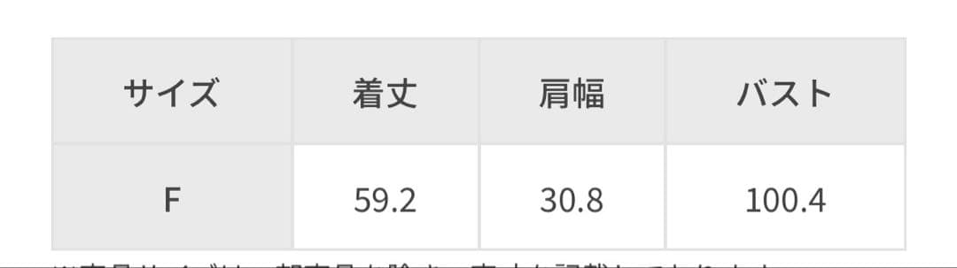 【美品✨salon adametrope レースジレ】