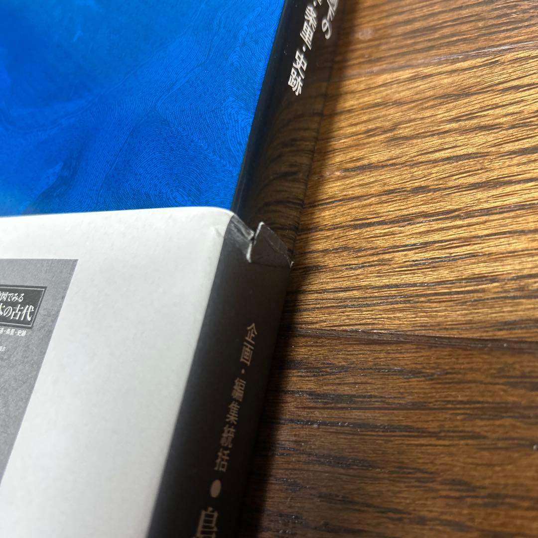 【レアもの】【新品】地図でみる東日本の古代: 律令制下の陸海交通・条里・史跡