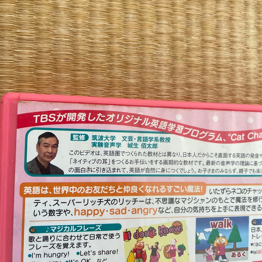 Cat Chat DVD 8枚セット