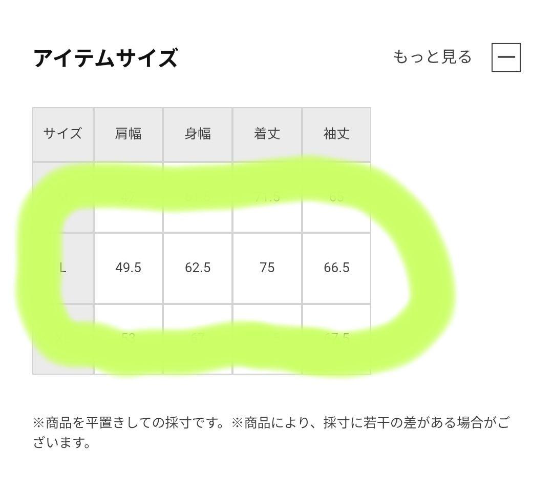 国内正規品　アークテリクス ガンマMXジャケット L黒 ARC’TERYX