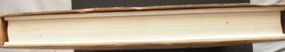 ナポレオン戦争従軍画集 徳間書店