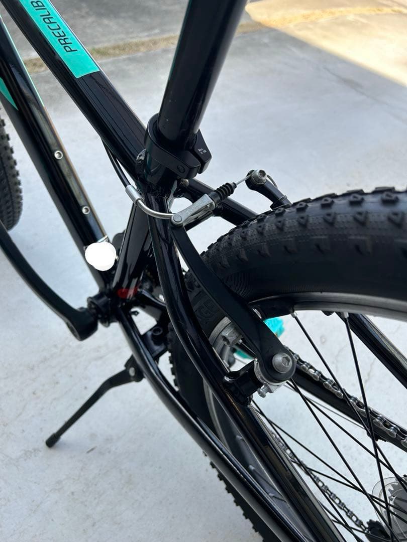 TREKトレック　Precaliber 24 8-speed キッズバイク