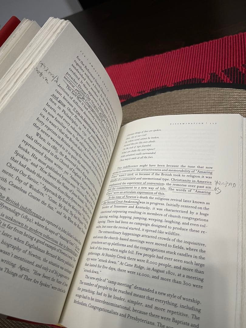 希少　Amazing Grace by Steve Turner