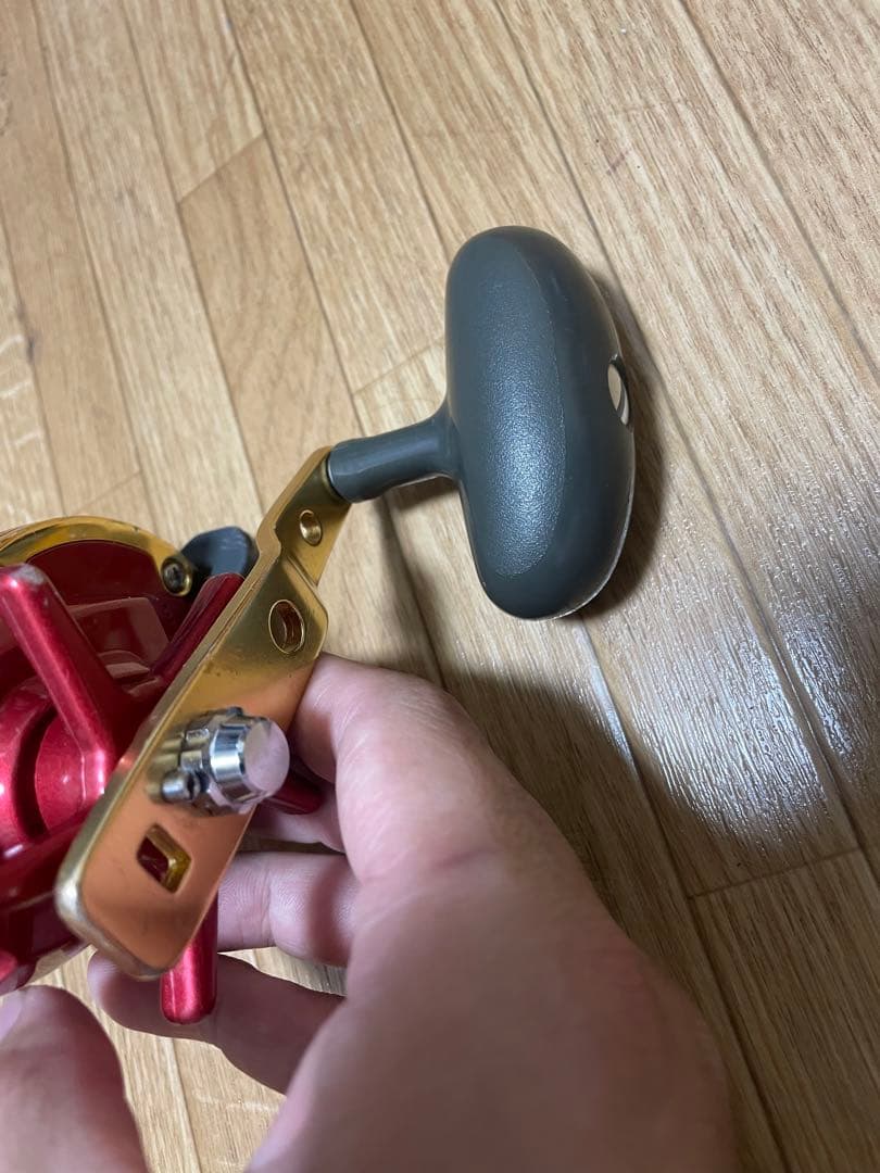 シーライン　遠投　石鯛　Daiwa