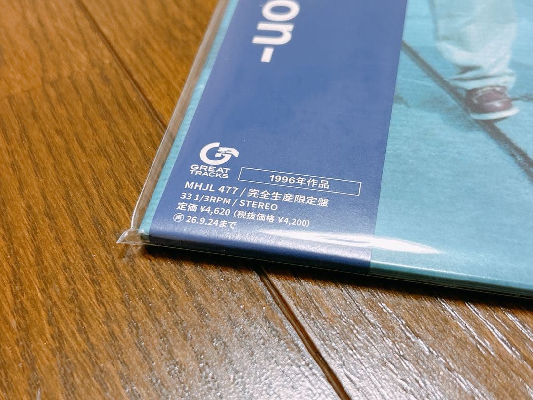 新品 サテライト・ラヴァーズ SONS OF 1973 アナログ LP レコード