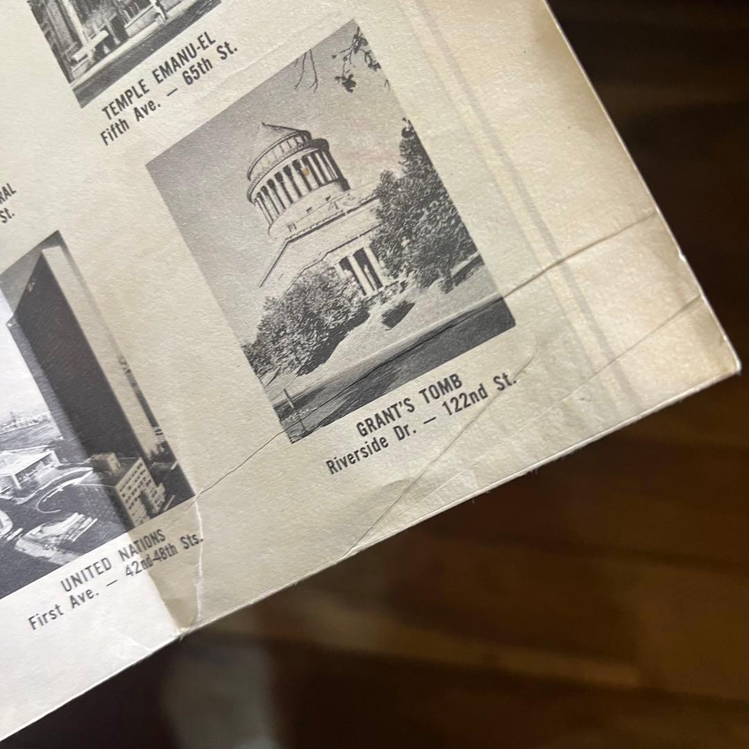 Fifth Avenue Coach Lines バスルートマップガイド