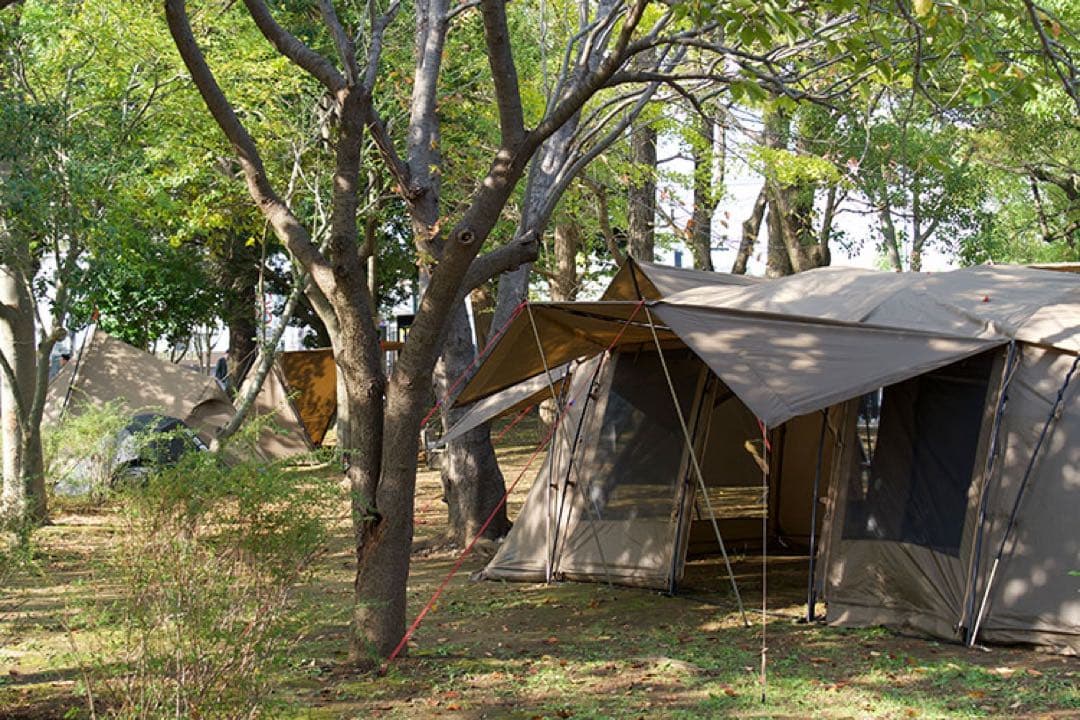 定価15万　タラスブルバ　グラムキャタピラー2ルーム　シェルター　テント