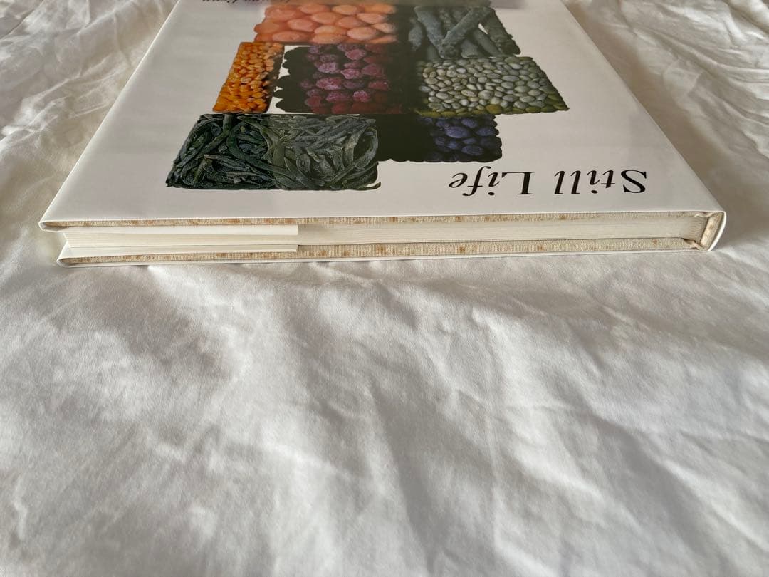 Irving Penn Still Life アーヴィング　ペン　写真集