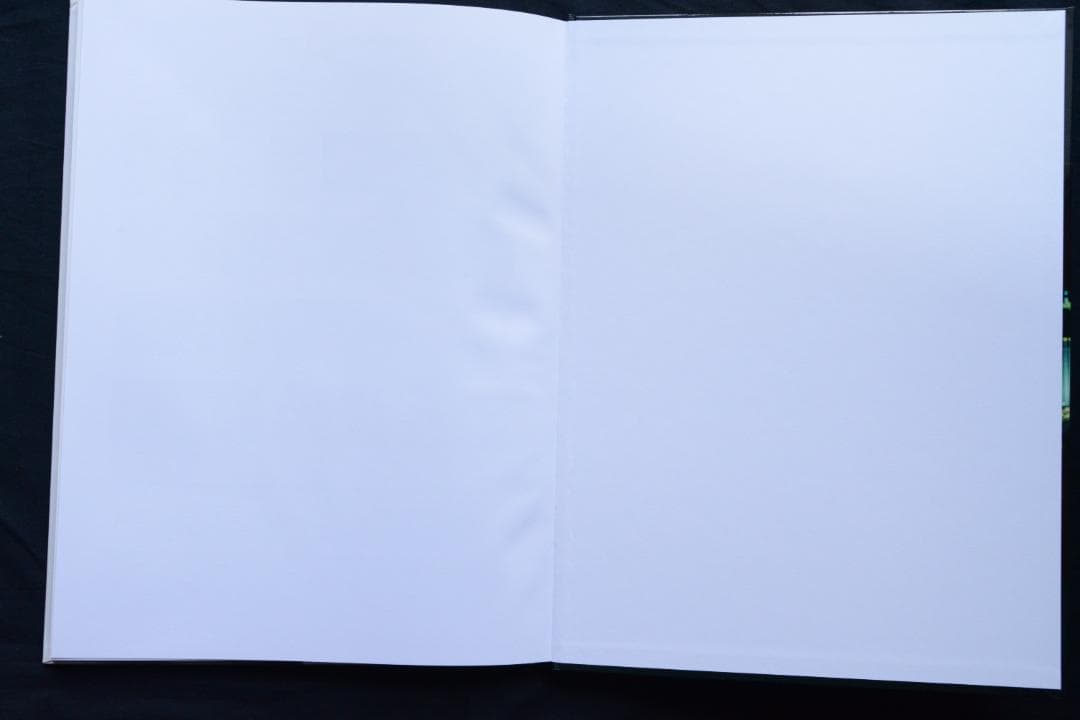 【Hedi Slimane: Stern Portfolio No.62】